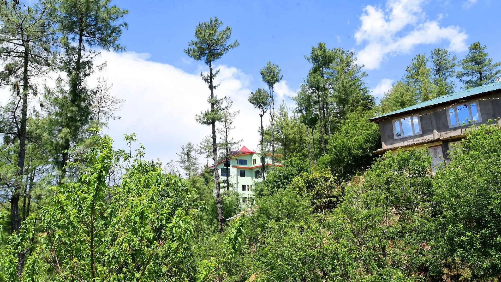 Aachman Nature Valley Resort Shimla